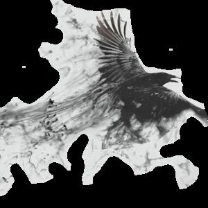 Meet your Posher, Tony